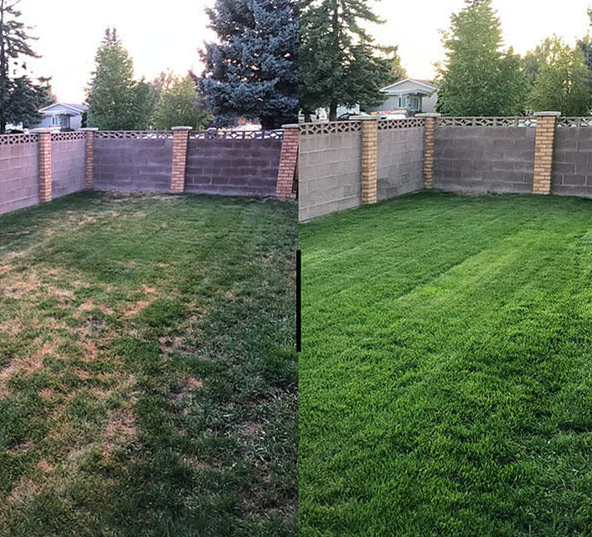 ДЖЕРЕЛО МІНЕРАЛІВ ДЛЯ АКТИВАЦІЇ ҐРУНТУ – ВІДРОДІТЬ РОДЮЧІСТЬ ВАШОЇ ЗЕМЛІ!