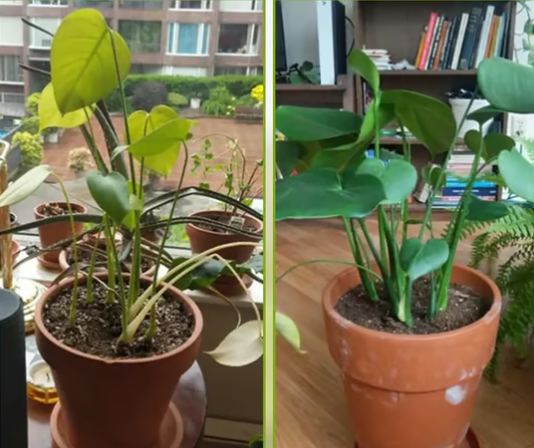 ДЖЕРЕЛО МІНЕРАЛІВ ДЛЯ АКТИВАЦІЇ ҐРУНТУ – ВІДРОДІТЬ РОДЮЧІСТЬ ВАШОЇ ЗЕМЛІ!